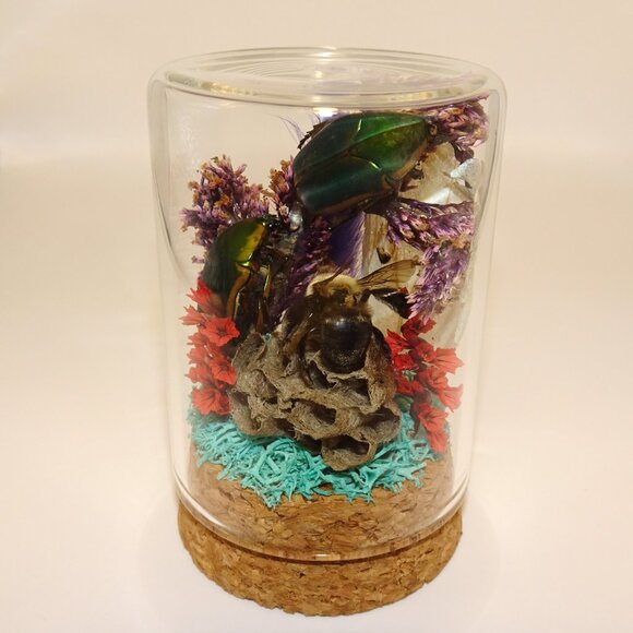 June Bug Bee Wasp Nest & Luna Moth Wing Oddity Dome curiosity taxidermy goth - Picture 12 of 13